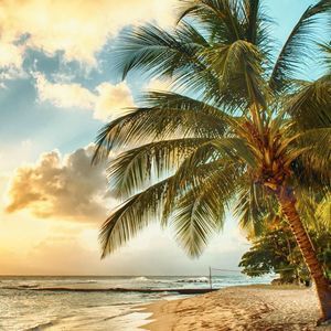 Meet your Posher, Ranbir